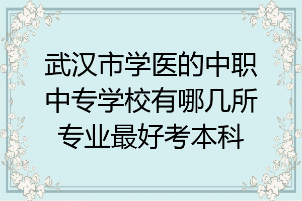 武汉市学医的中职中专学校有哪几所专业最好考本科