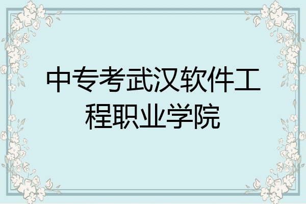 中专考武汉软件工程职业学院