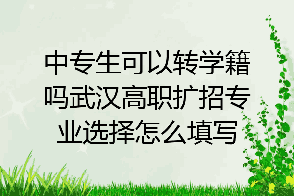 中专生可以转学籍吗武汉高职扩招专业选择怎么填写
