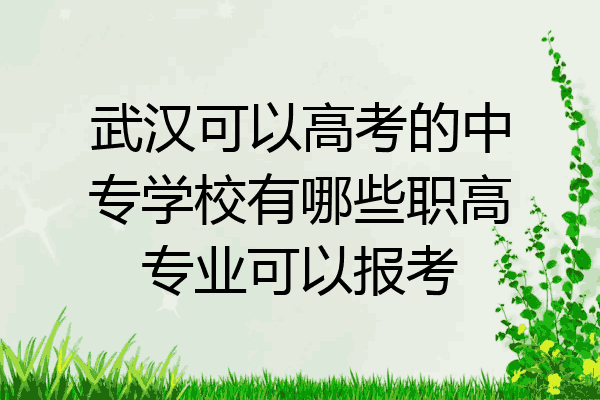 武汉可以高考的中专学校有哪些职高专业可以报考