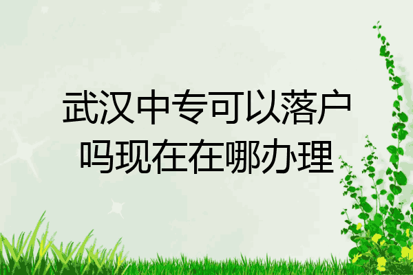 武汉中专可以落户吗现在在哪办理