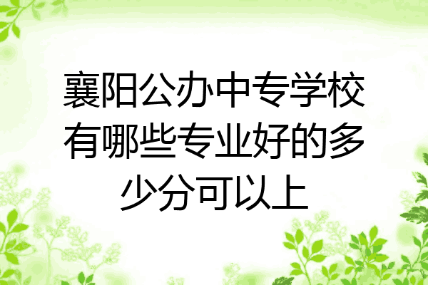 襄阳公办中专学校有哪些专业好的多少分可以上