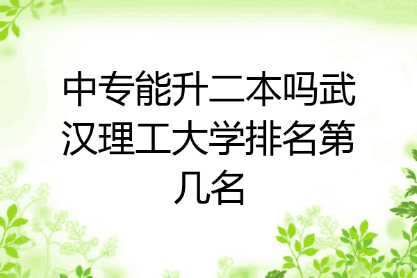中专能升二本吗武汉理工大学排名第几名