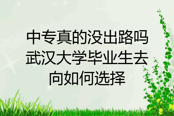 中专真的没出路吗武汉大学毕业生去向如何选择