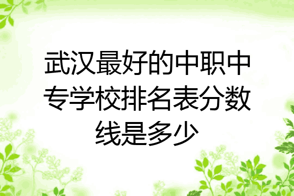 武汉最好的中职中专学校排名表分数线是多少