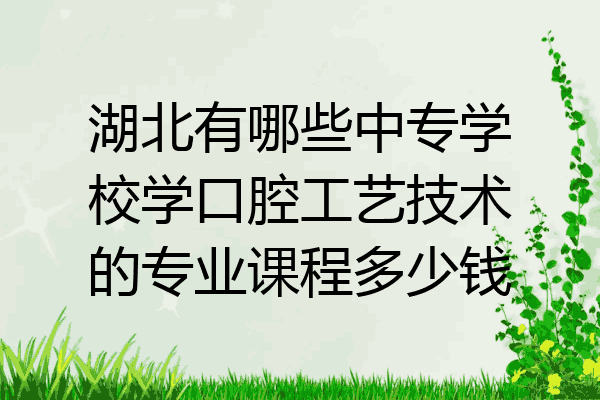 湖北有哪些中专学校学口腔工艺技术的专业课程多少钱