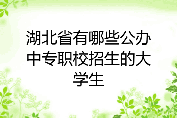 湖北省有哪些公办中专职校招生的大学生