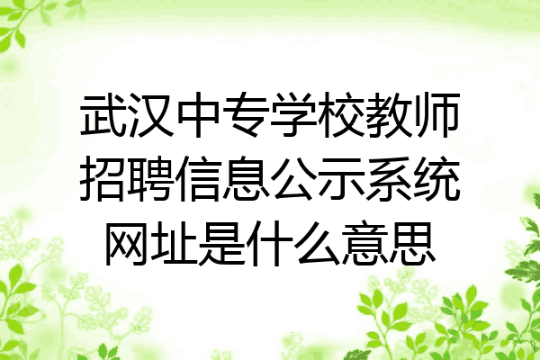 武汉中专学校教师招聘信息公示系统网址是什么意思