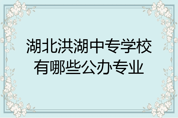 湖北洪湖中专学校有哪些公办专业