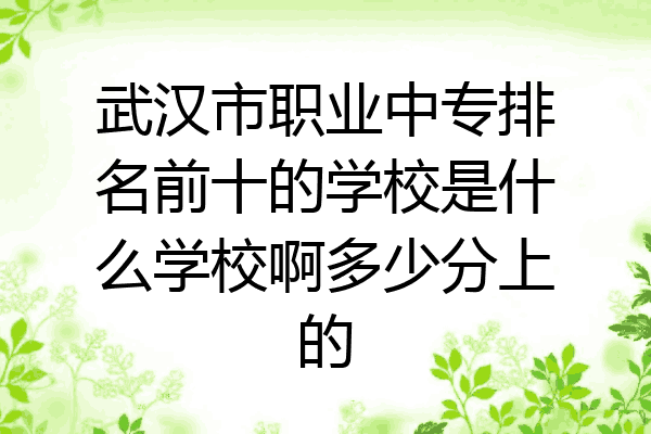 武汉市职业中专排名前十的学校是什么学校啊多少分上的