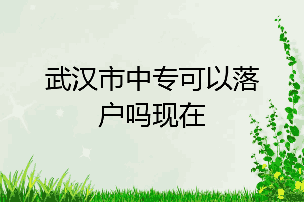 武汉市中专可以落户吗现在