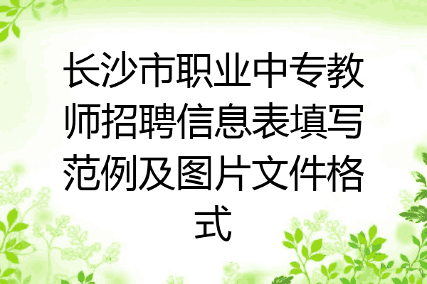 长沙市职业中专教师招聘信息表填写范例及图片文件格式