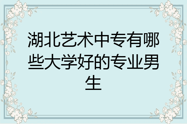 湖北艺术中专有哪些大学好的专业男生