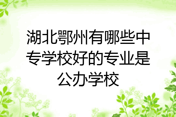 湖北鄂州有哪些中专学校好的专业是公办学校