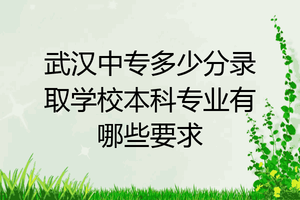 武汉中专多少分录取学校本科专业有哪些要求
