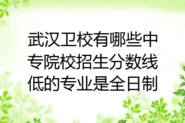 武汉卫校有哪些中专院校招生分数线低的专业是全日制