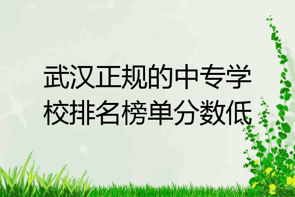 武汉正规的中专学校排名榜单分数低