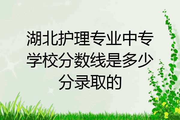 湖北护理专业中专学校分数线是多少分录取的