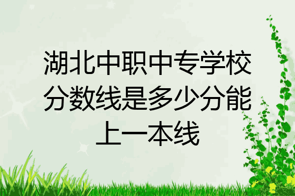 湖北中职中专学校分数线是多少分能上一本线