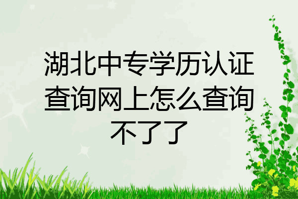 湖北中专学历认证查询网上怎么查询不了了