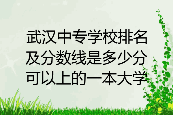武汉中专学校排名及分数线是多少分可以上的一本大学