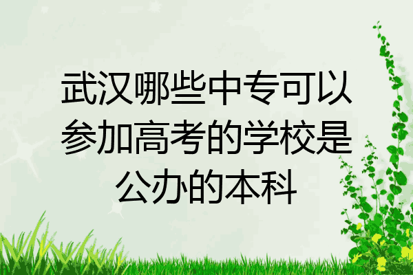 武汉哪些中专可以参加高考的学校是公办的本科