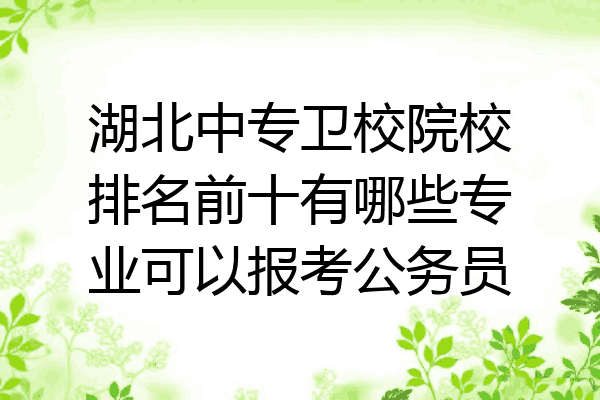 湖北中专卫校院校排名前十有哪些专业可以报考公务员