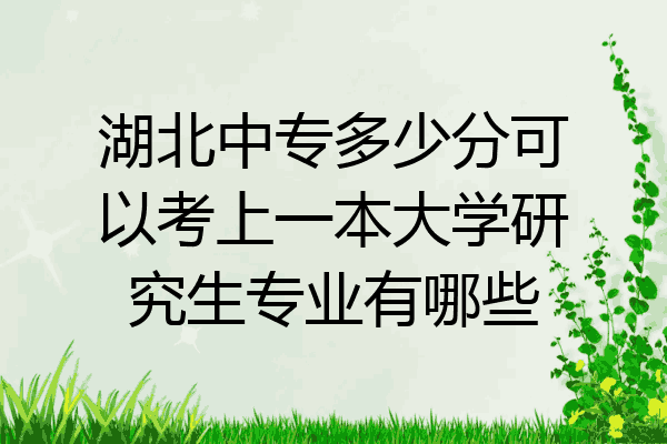 湖北中专多少分可以考上一本大学研究生专业有哪些