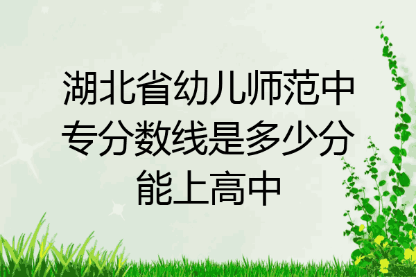 湖北省幼儿师范中专分数线是多少分能上高中