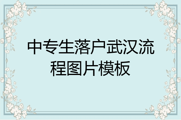 中专生落户武汉流程图片模板