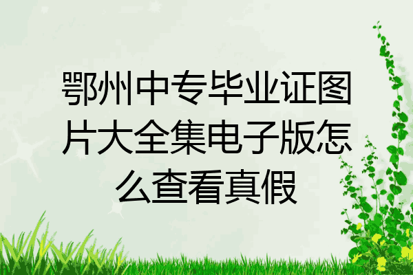 鄂州中专毕业证图片大全集电子版怎么查看真假