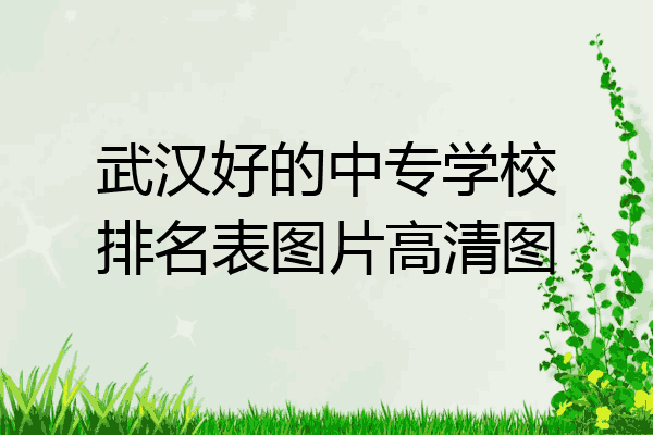 武汉好的中专学校排名表图片高清图