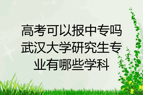 高考可以报中专吗武汉大学研究生专业有哪些学科