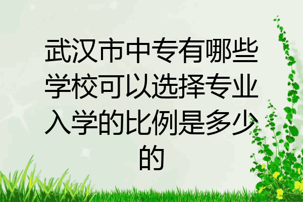 武汉市中专有哪些学校可以选择专业入学的比例是多少的