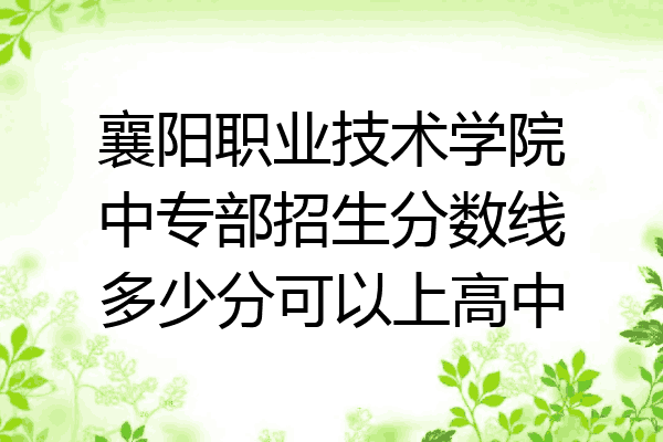 襄阳职业技术学院中专部招生分数线多少分可以上高中