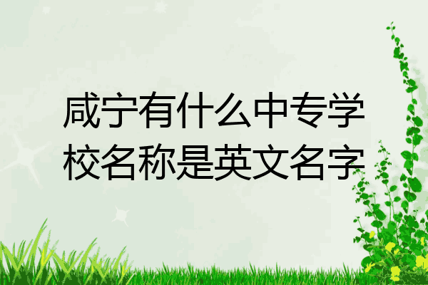 咸宁有什么中专学校名称是英文名字
