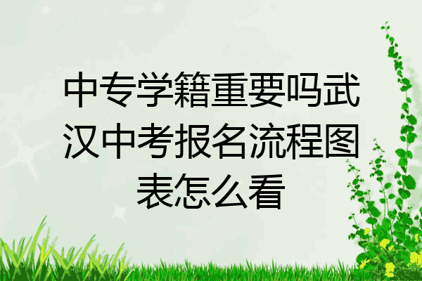 中专学籍重要吗武汉中考报名流程图表怎么看