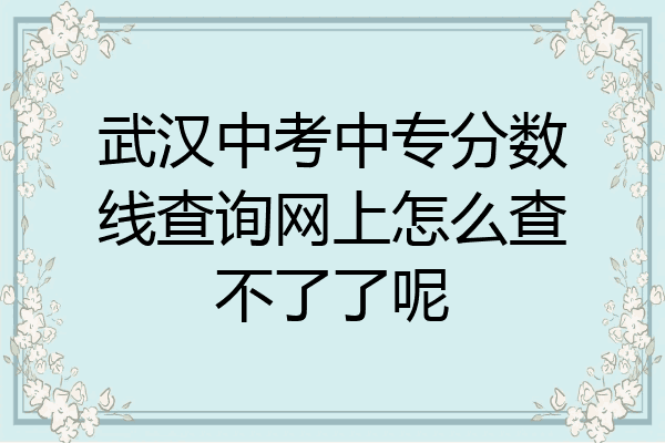 武汉中考中专分数线查询网上怎么查不了了呢