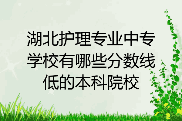 湖北护理专业中专学校有哪些分数线低的本科院校