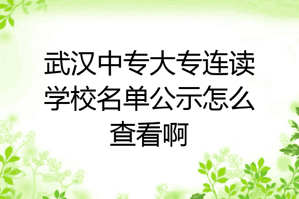 武汉中专大专连读学校名单公示怎么查看啊