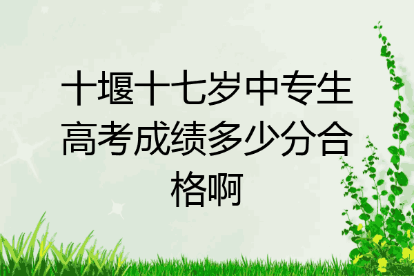 十堰十七岁中专生高考成绩多少分合格啊