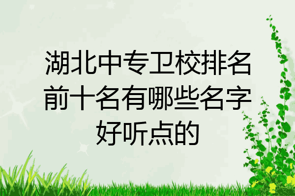 湖北中专卫校排名前十名有哪些名字好听点的