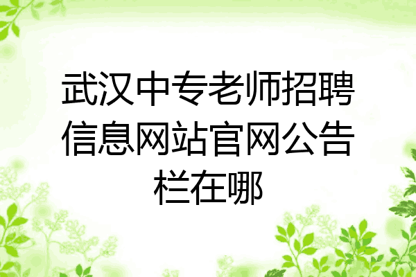 武汉中专老师招聘信息网站官网公告栏在哪