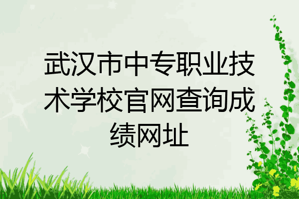 武汉市中专职业技术学校官网查询成绩网址