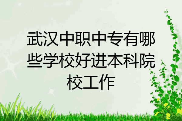 武汉中职中专有哪些学校好进本科院校工作