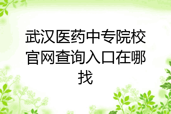 武汉医药中专院校官网查询入口在哪找