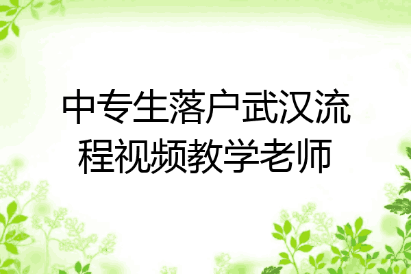 中专生落户武汉流程视频教学老师