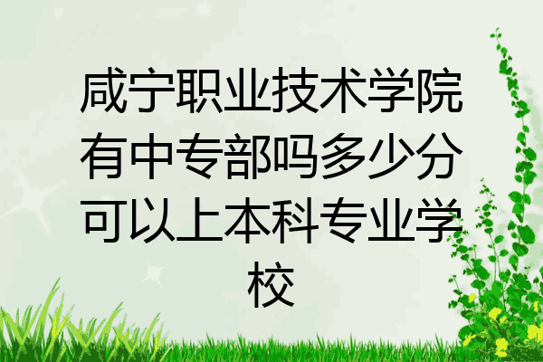 咸宁职业技术学院有中专部吗多少分可以上本科专业学校