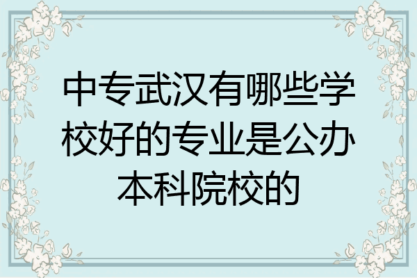中专武汉有哪些学校好的专业是公办本科院校的