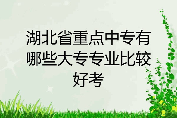 湖北省重点中专有哪些大专专业比较好考